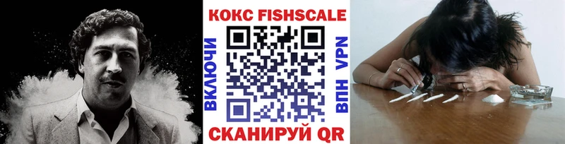 MEGA ссылка  Зубцов  КОКАИН Эквадор 