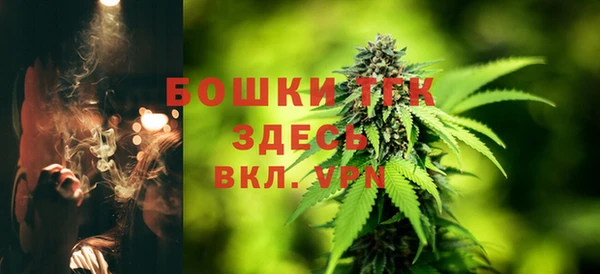 спиды Верея