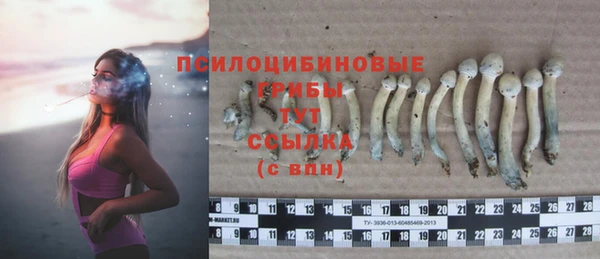 mix Верхний Тагил