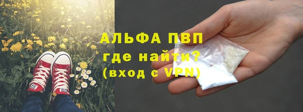 спиды Верея