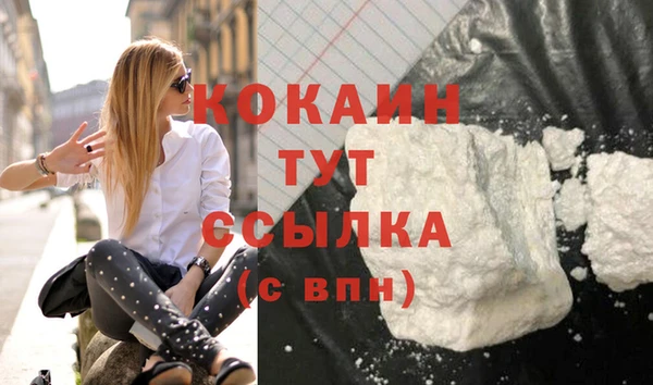 бошки Бородино